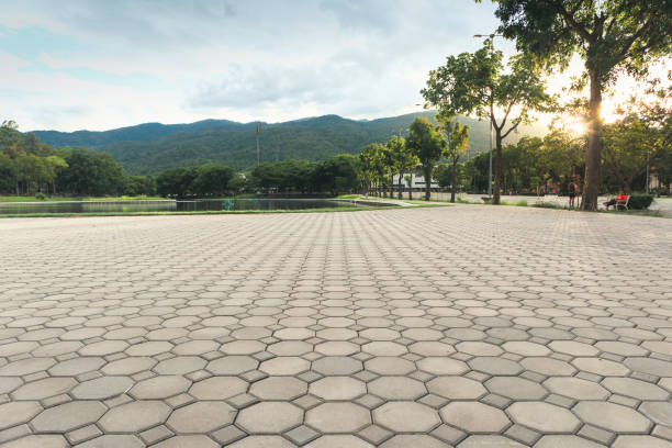 Best Driveway Paver Repair  in Harbor Isle, NY
